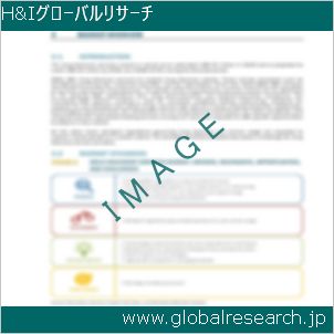 グローバルリサーチ調査レポートのイメージ